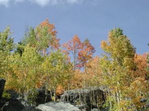 thm_changing colors.jpg